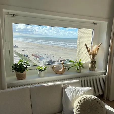 Aan Het In Aan Zee! *