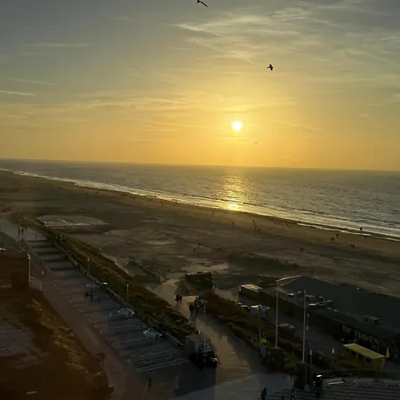 Sea La Vie- Aan Het In Aan Zee! * Zandvoort